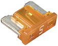 41zj8wufn6L._UF894,1000_QL80_.jpg