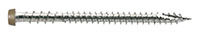 HeadBrown05.jpg