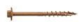 F_SDWH19300DB_ProdPho_Pho_Prod_SDWH-TimberHexScrew_C0.jpg